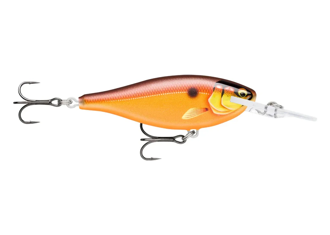 charliesfishing405778