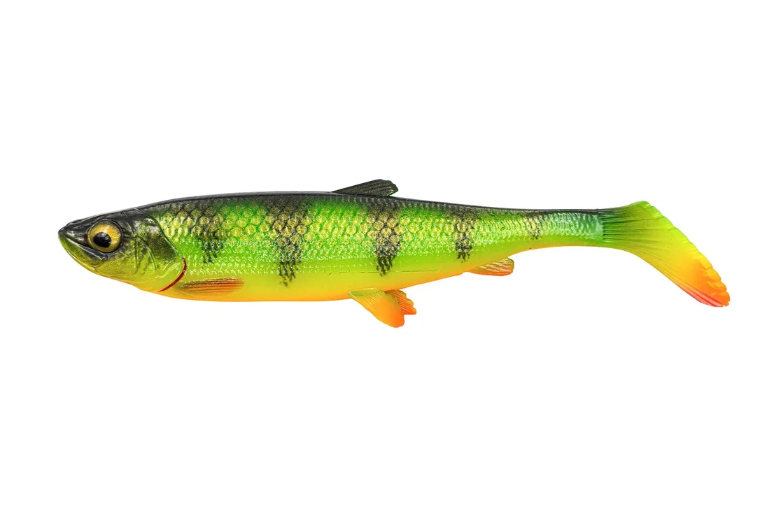 charliesfishing408511
