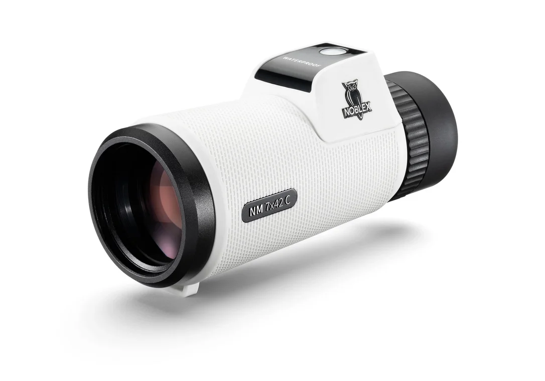 compass24400006