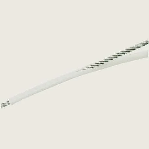 compass24401895