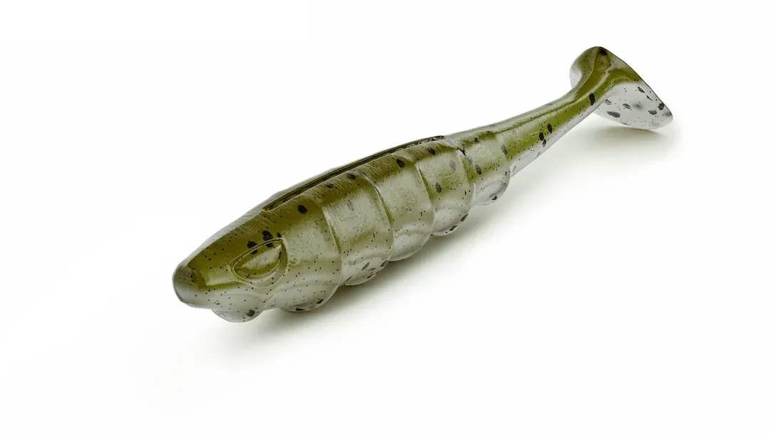 franz-geht-fischen356178