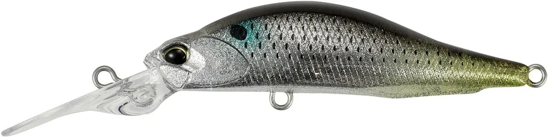 franz-geht-fischen358516