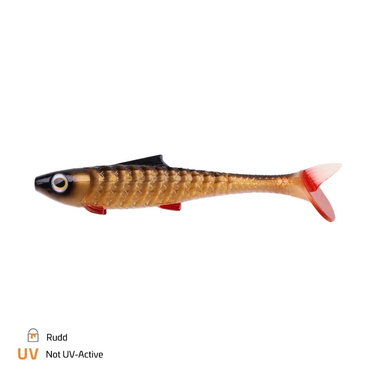 franz-geht-fischen365063