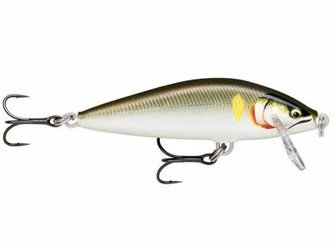 funfish379965
