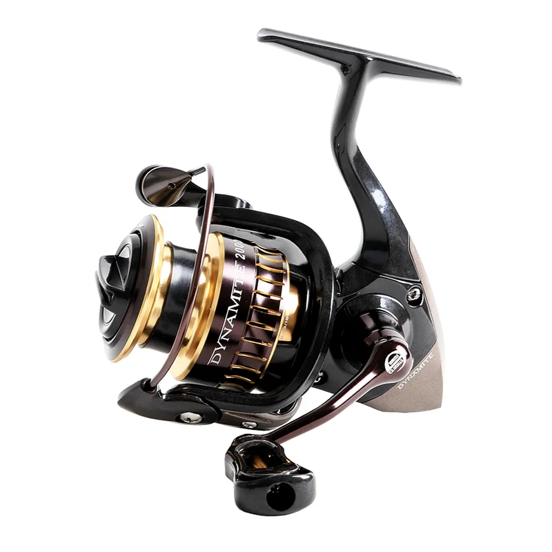 funfish389176