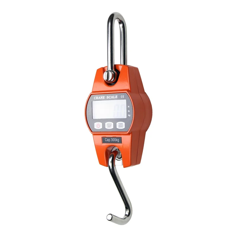 hauptner-jagd364338