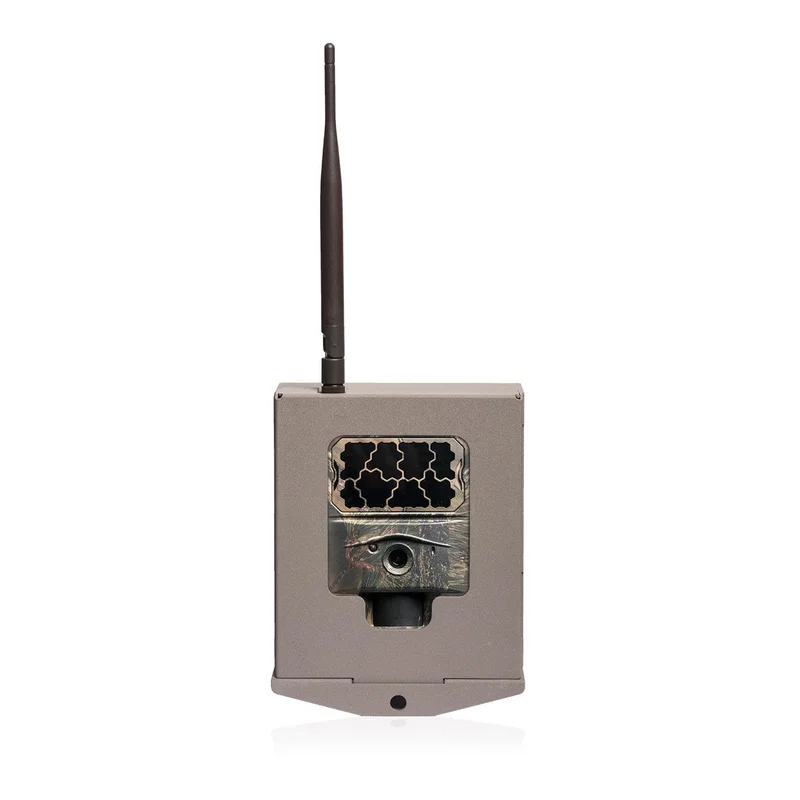 hauptner-jagd373404