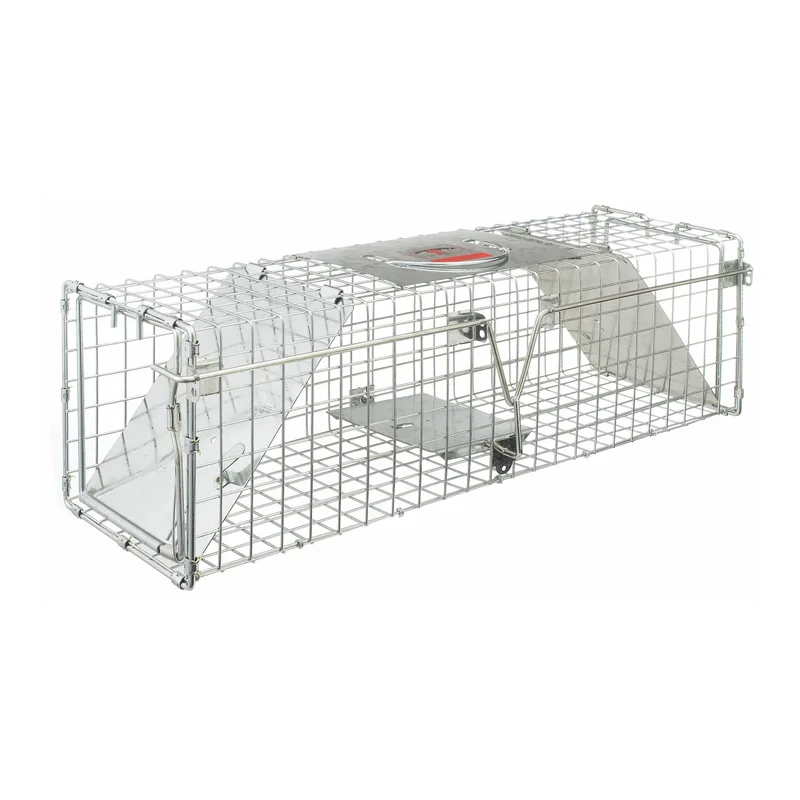 hauptner-jagd378372
