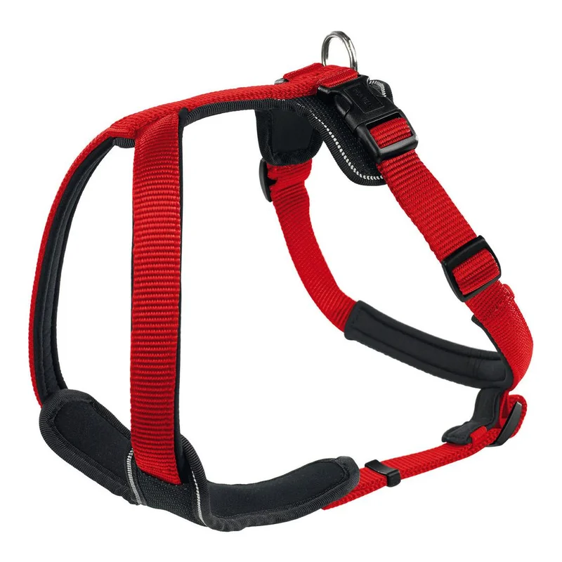 hauptner-jagd383540