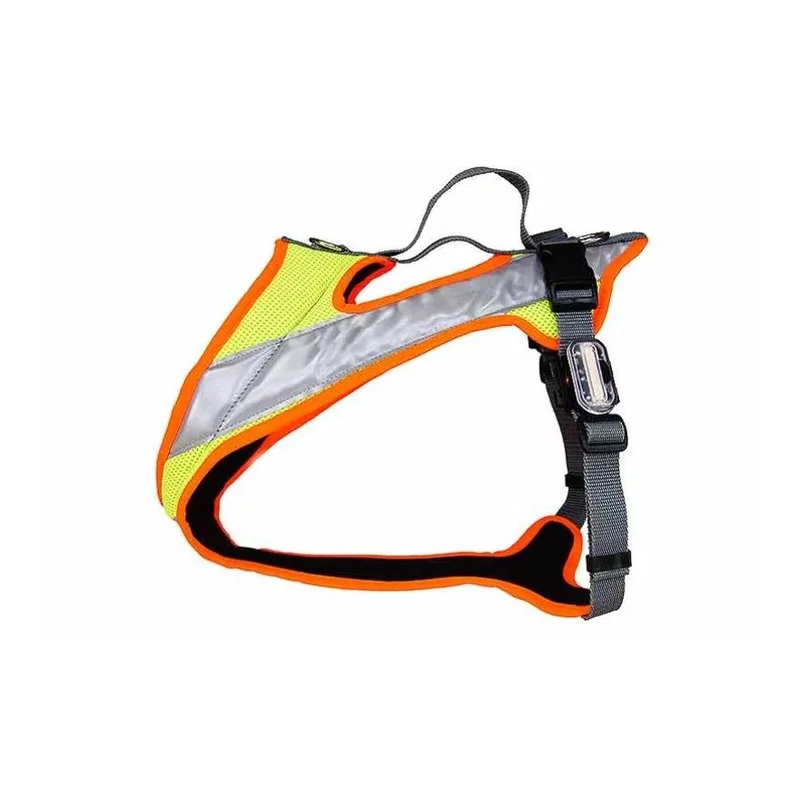hauptner-jagd395806