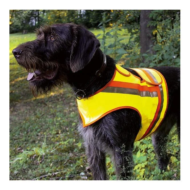 hauptner-jagd400254