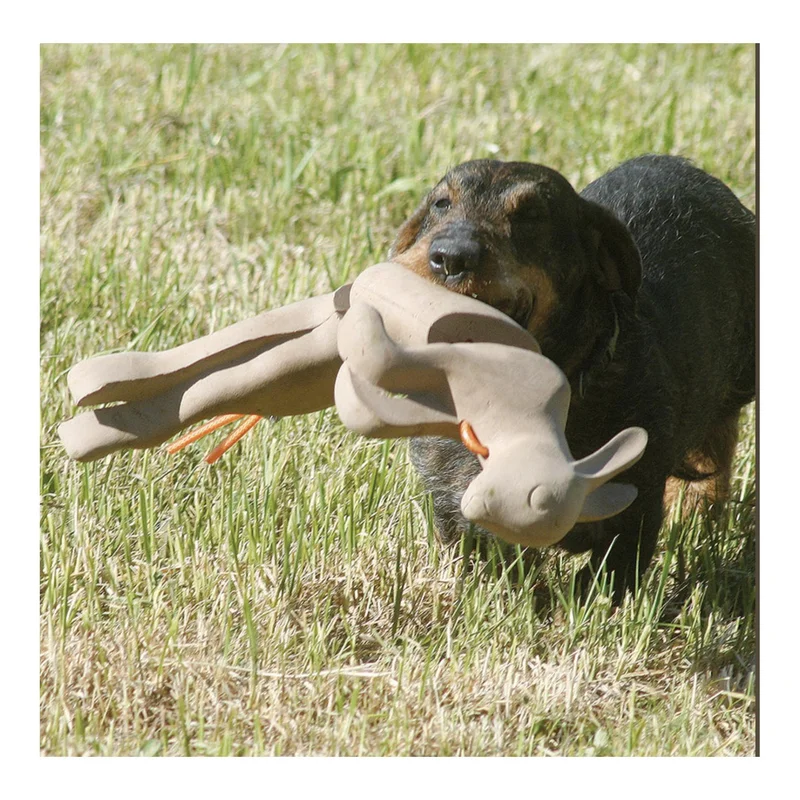 hauptner-jagd415550