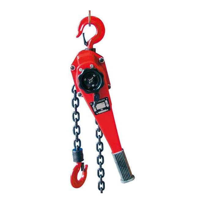 hauptner-jagd445658