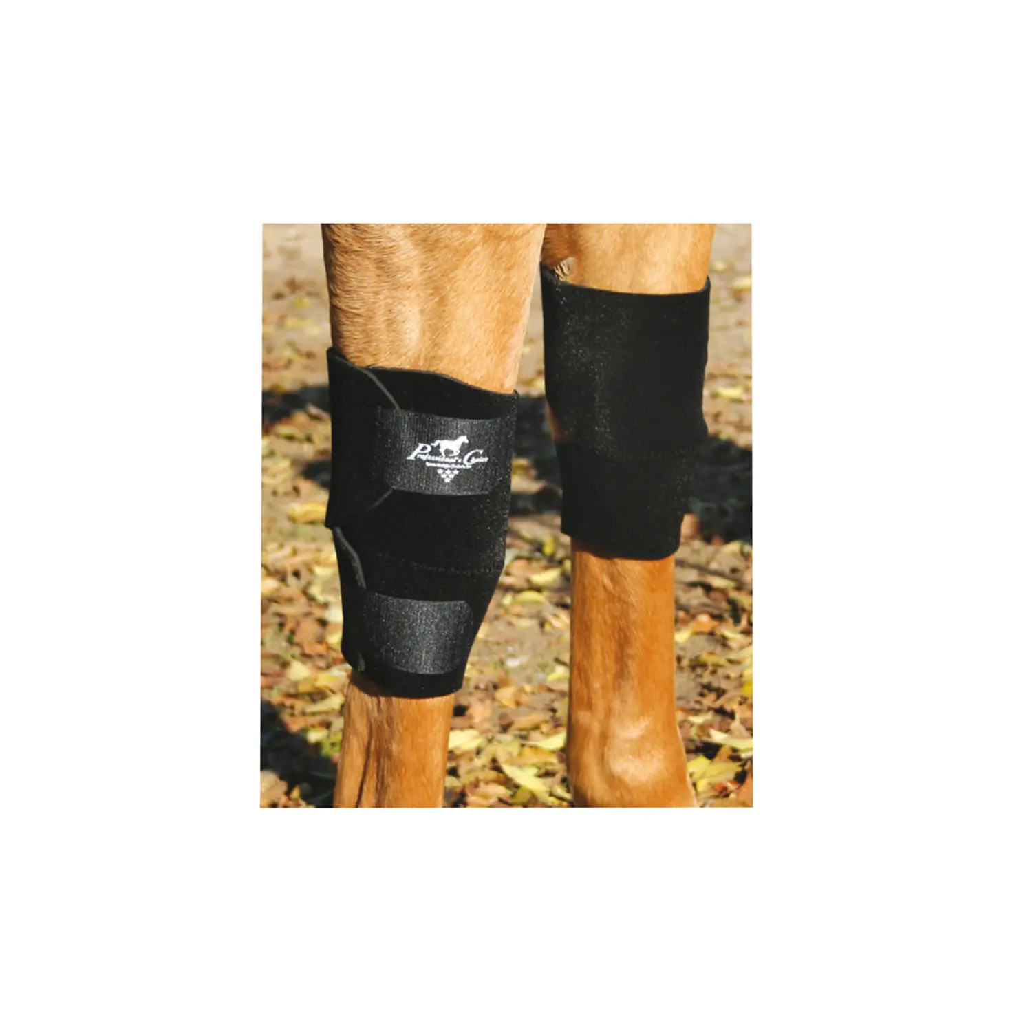 sportisgood1094065