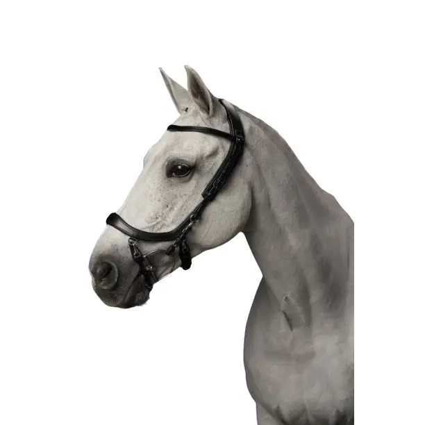 sportisgood1281699