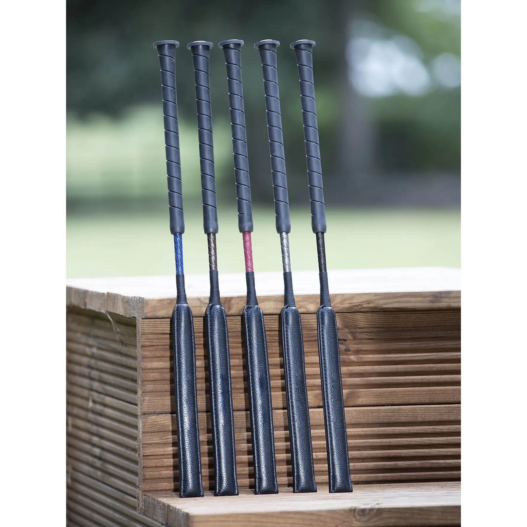 sportisgood1306780