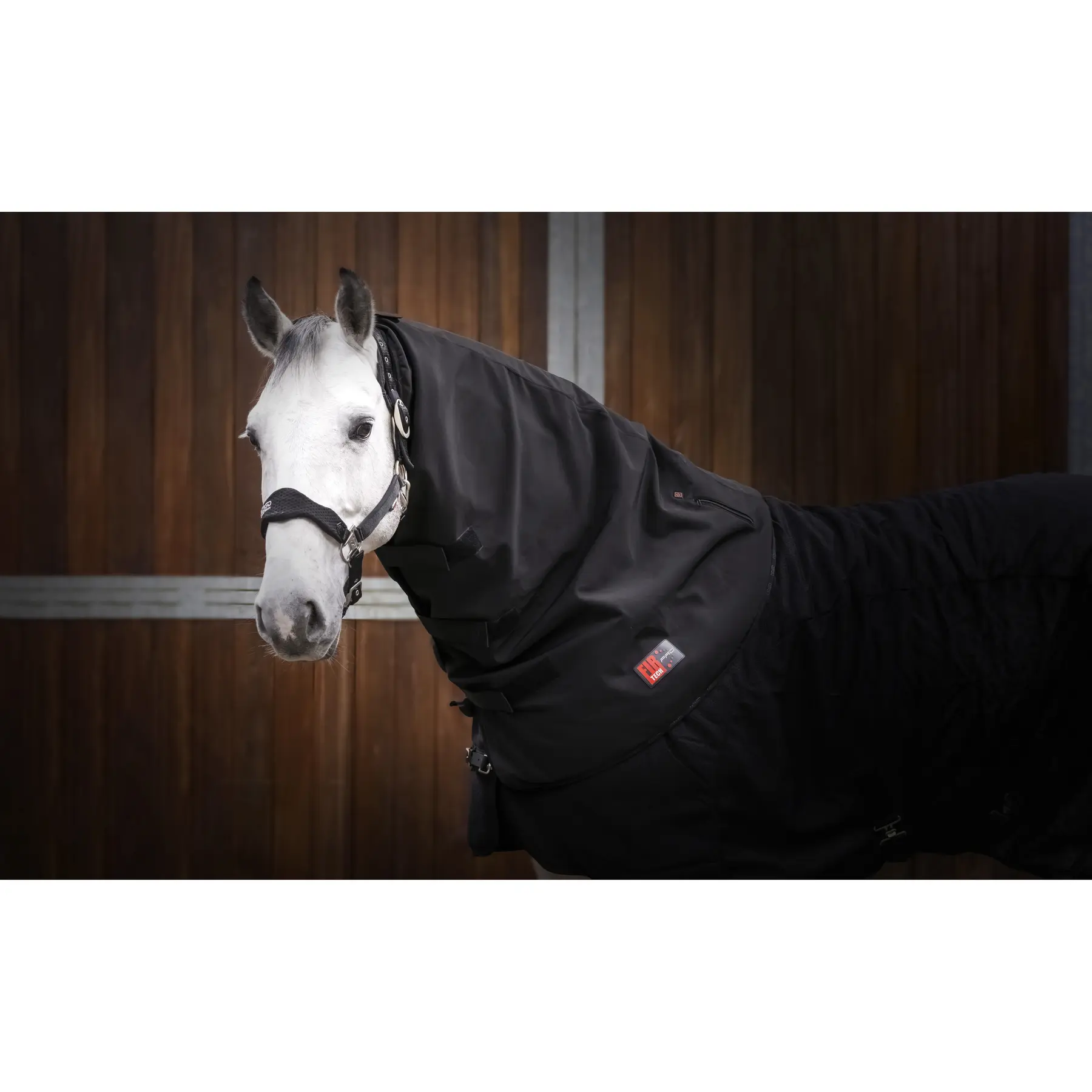 sportisgood1649044