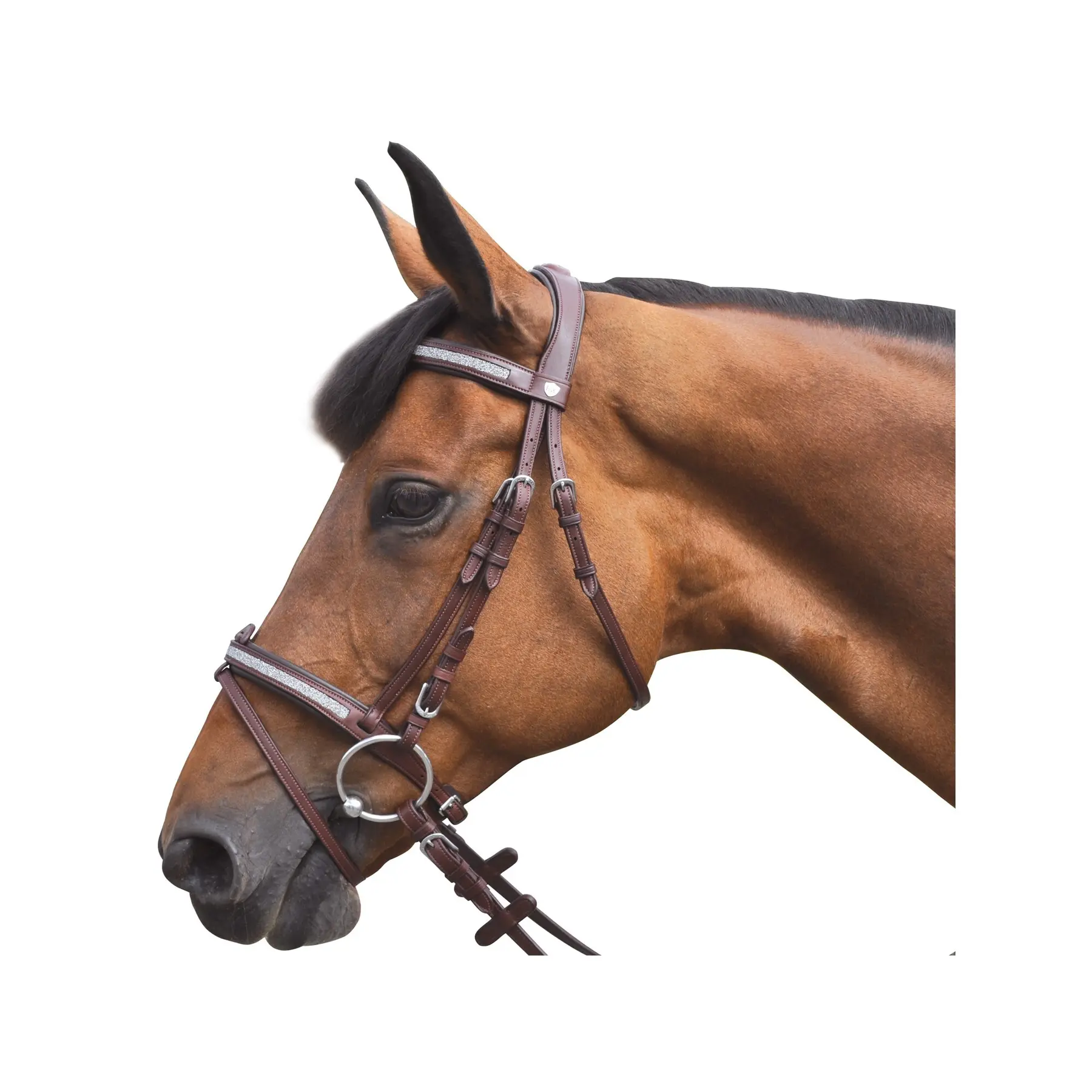 sportisgood1727797