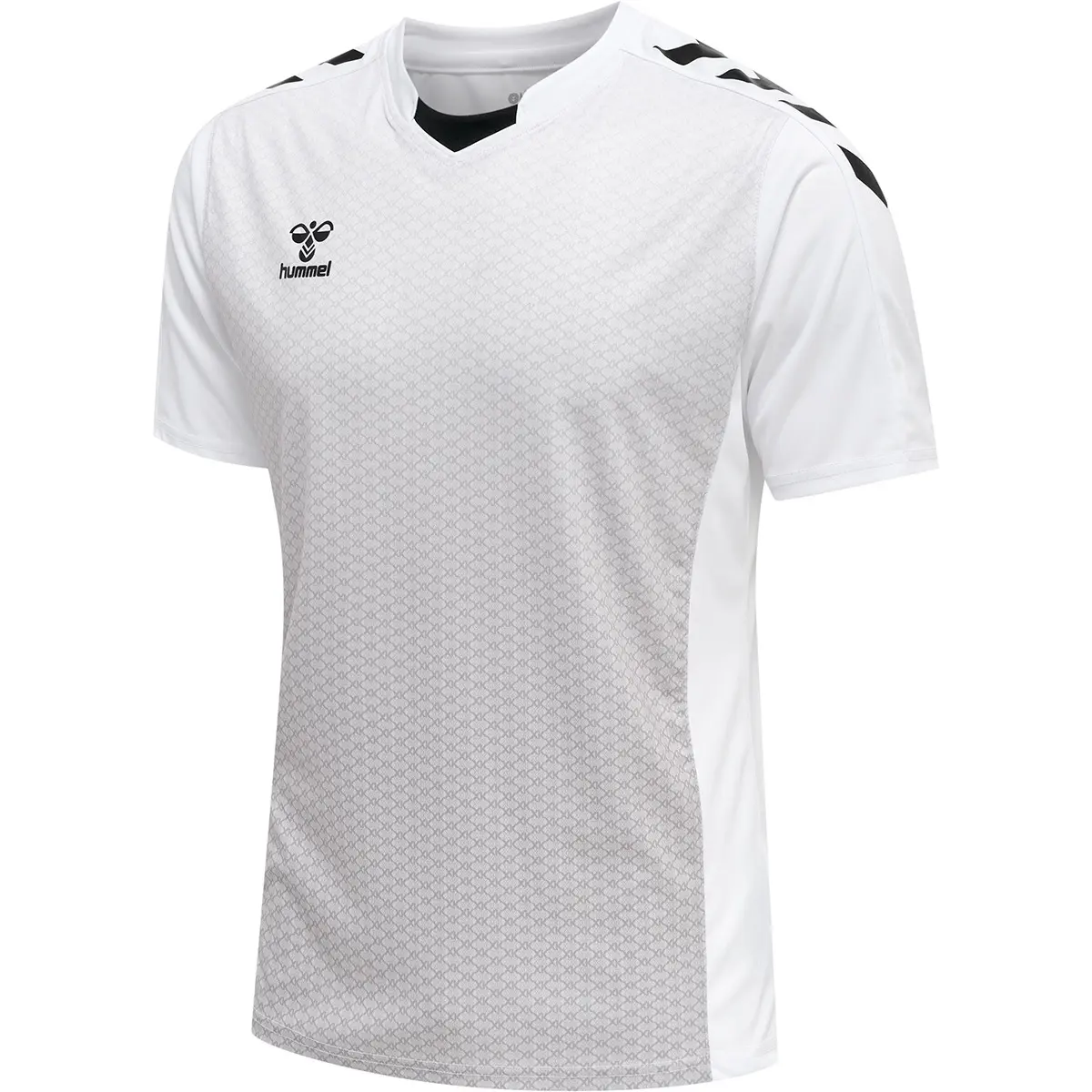 sportisgood1731576
