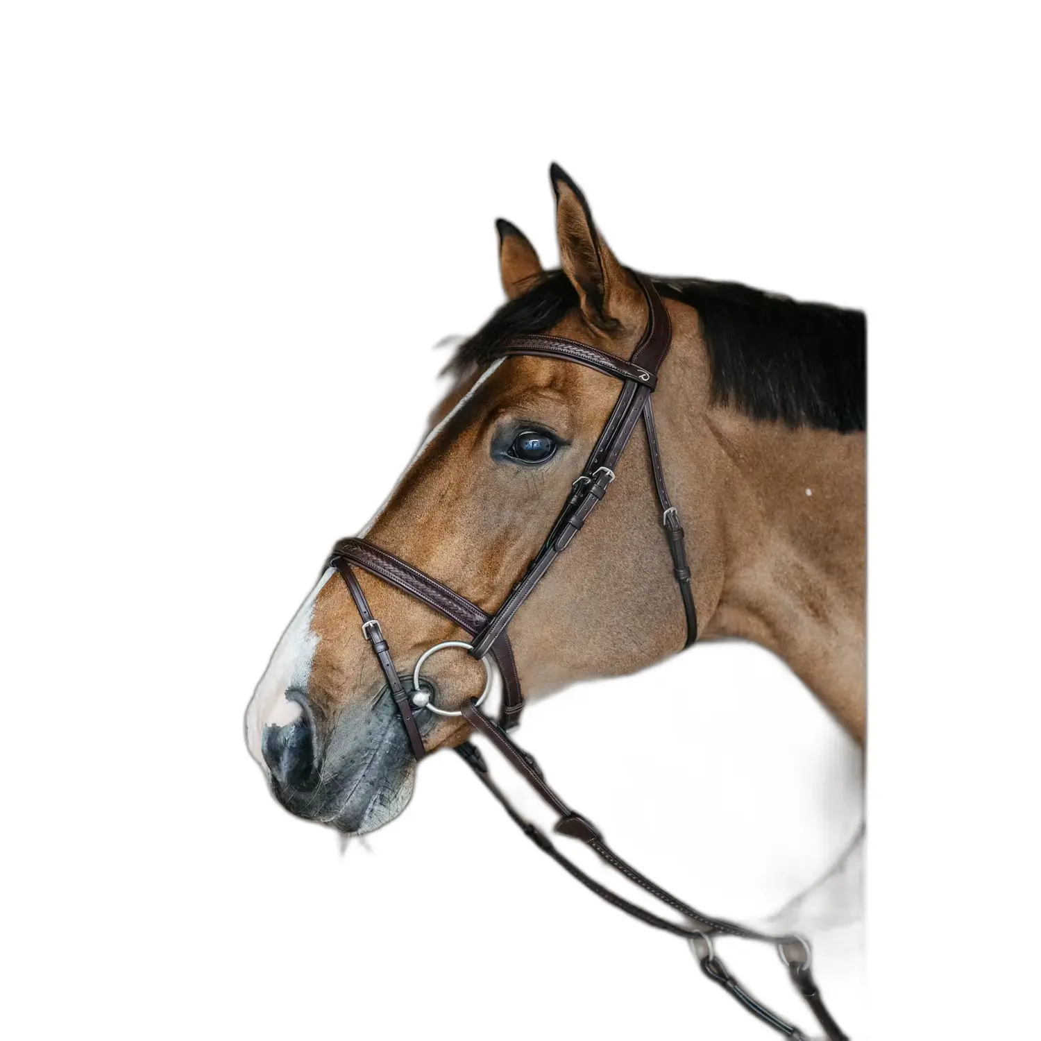 sportisgood1860780