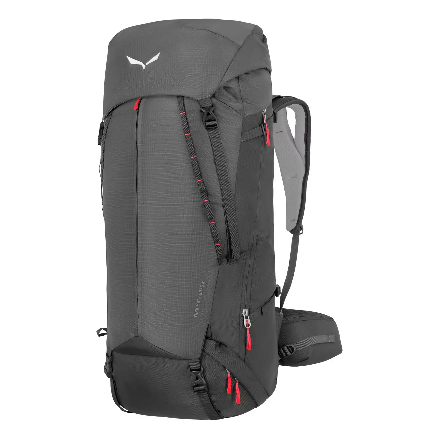 sportisgood1900355