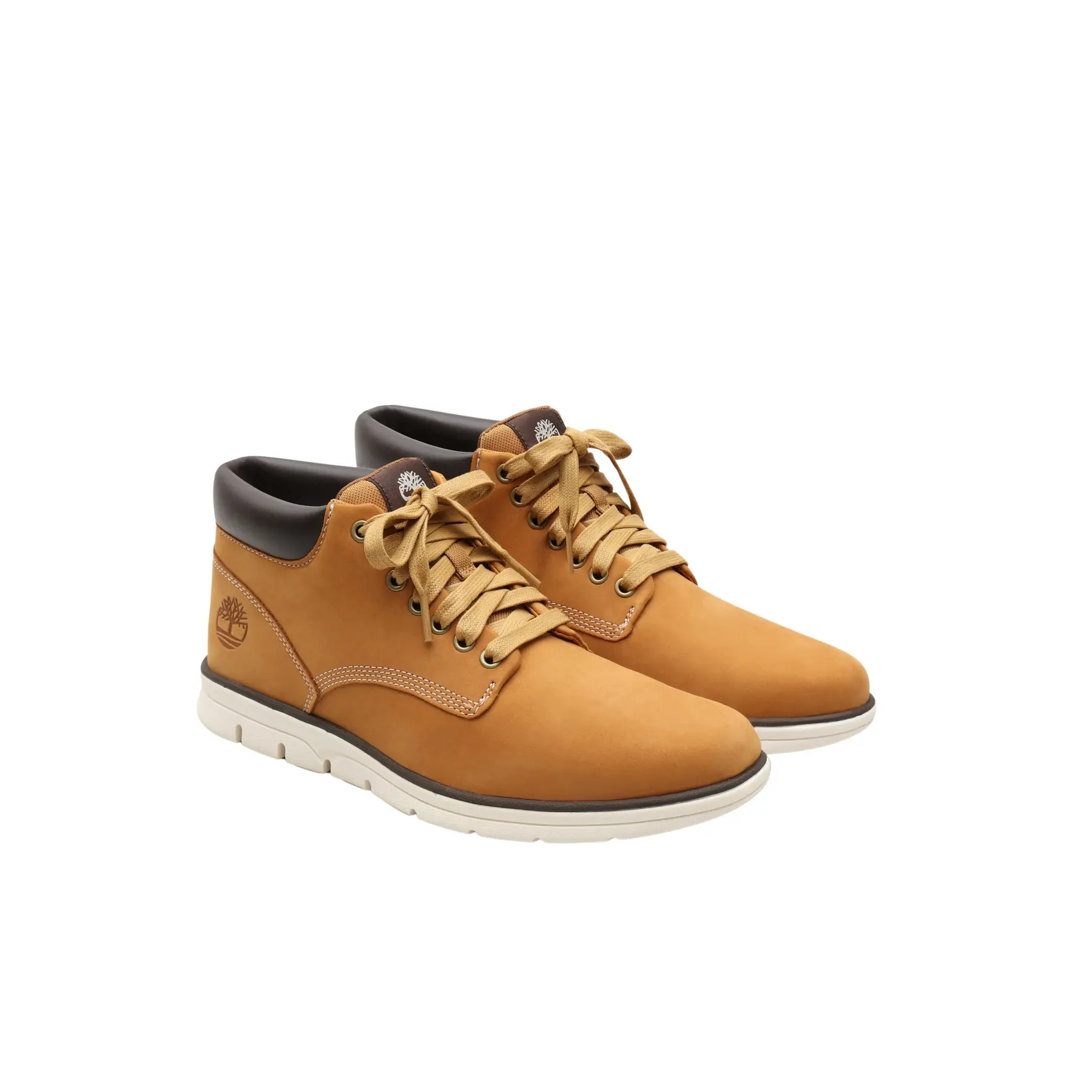 sportisgood2314021