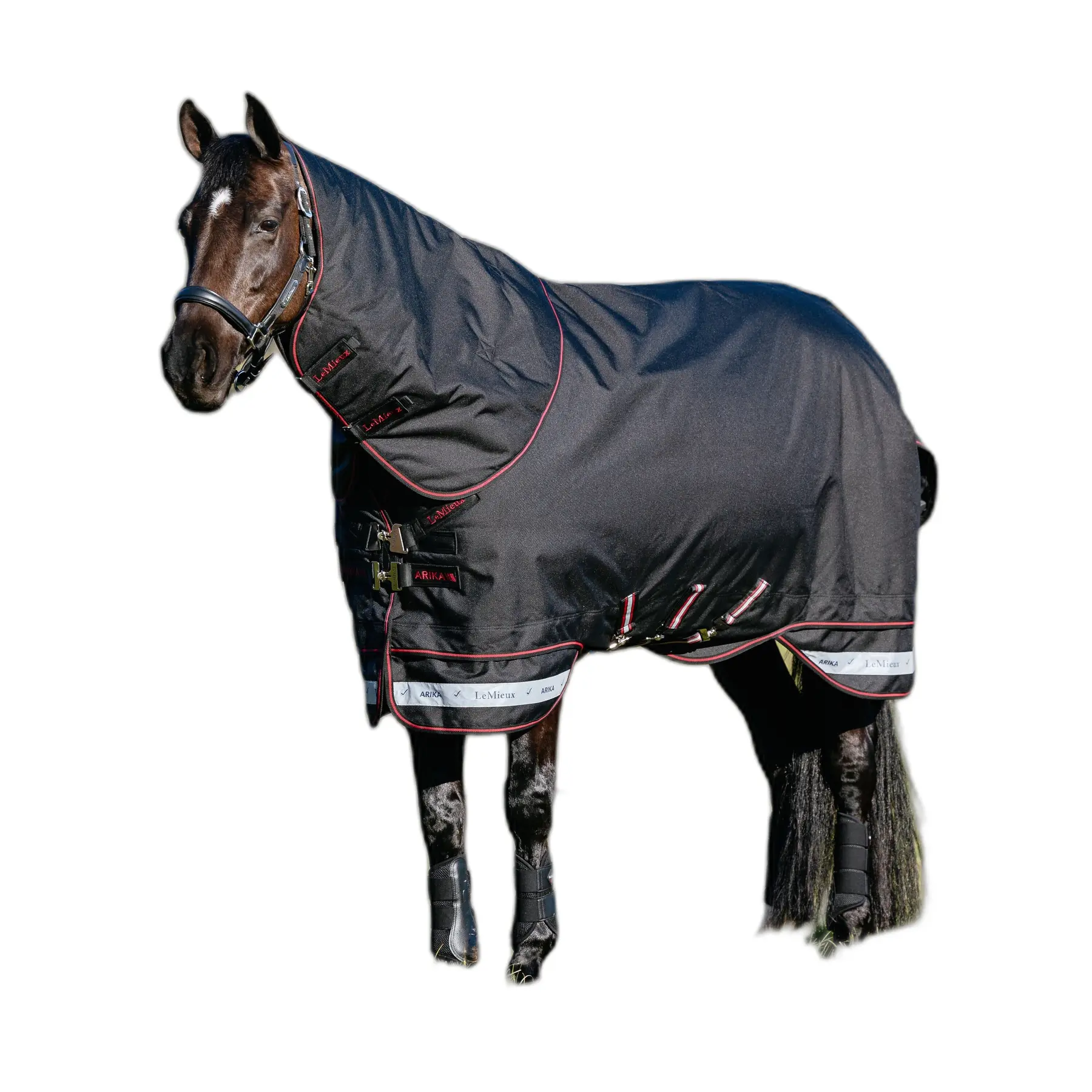 sportisgood379200