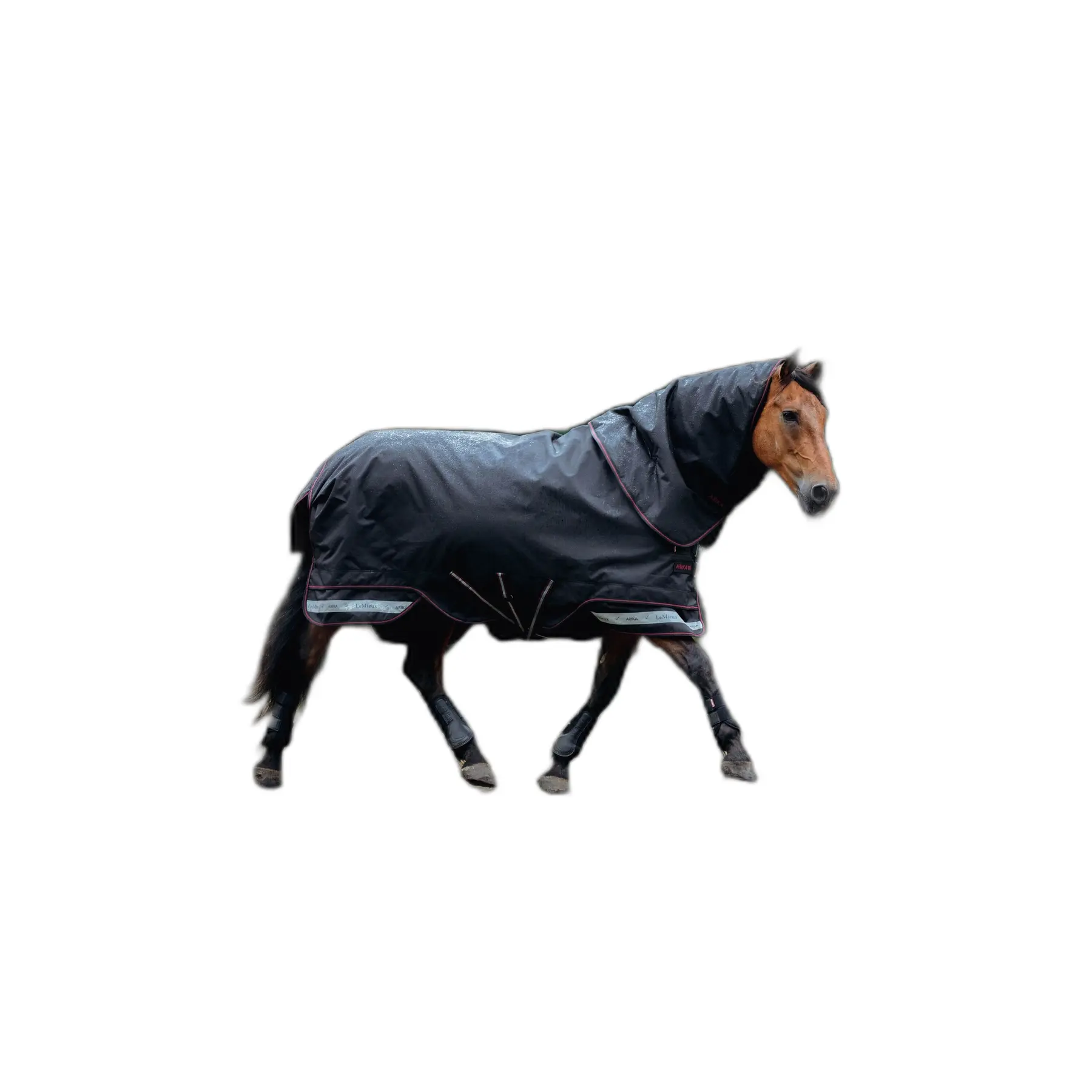 sportisgood393118