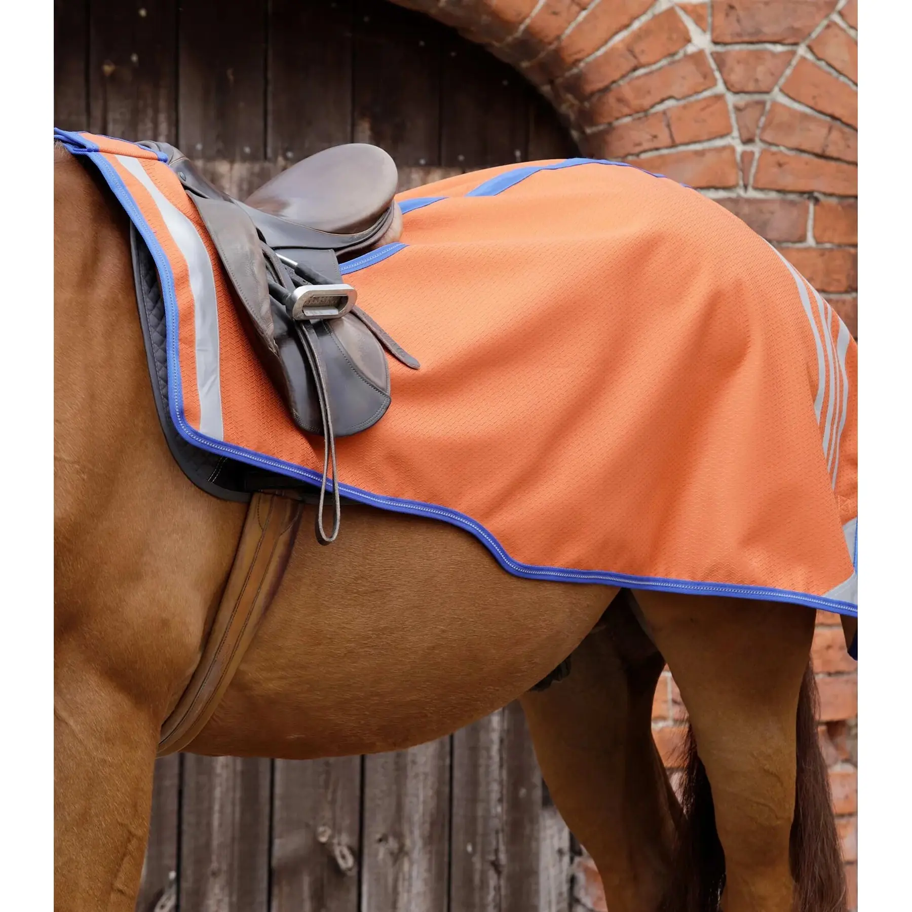 sportisgood410000