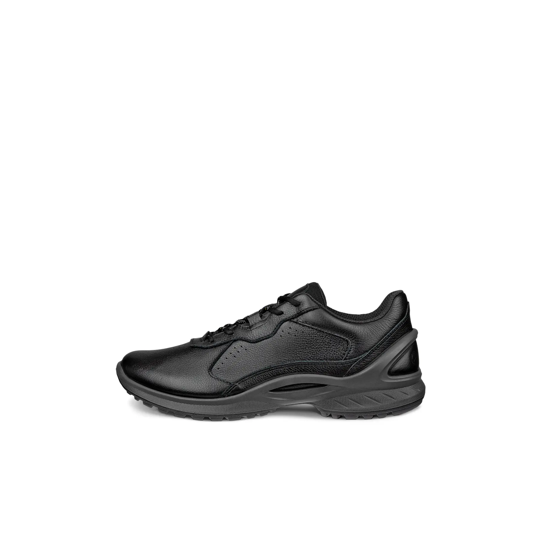 sportisgood497167