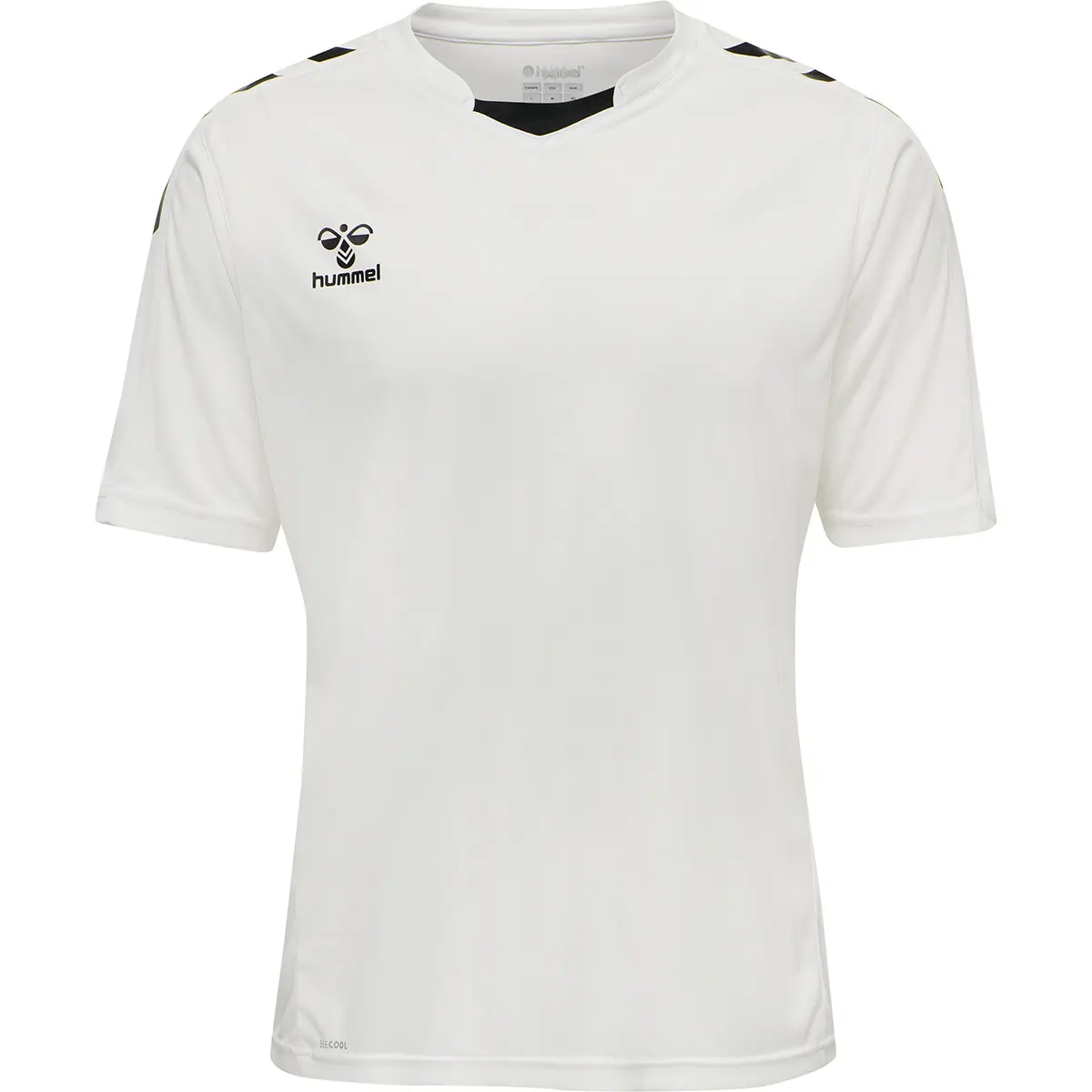 sportisgood558279