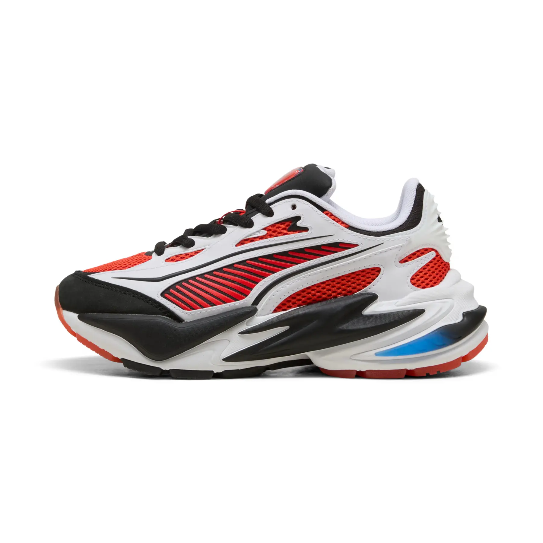 sportisgood584563