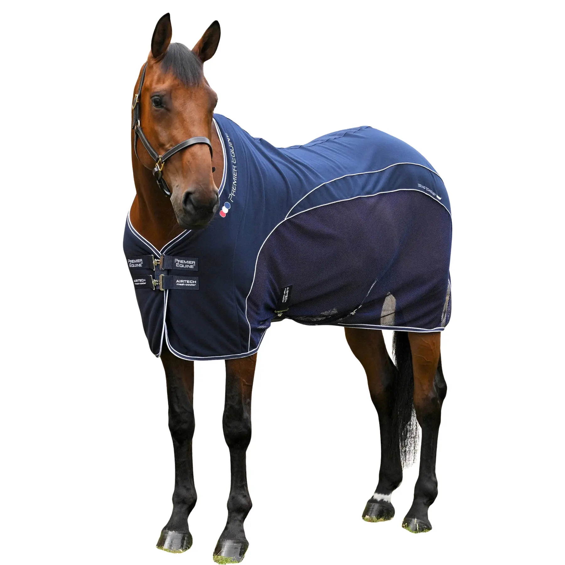 sportisgood730479