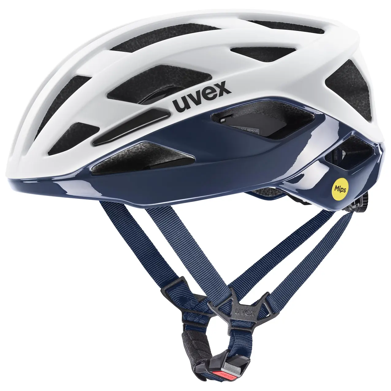 sportisgood829953