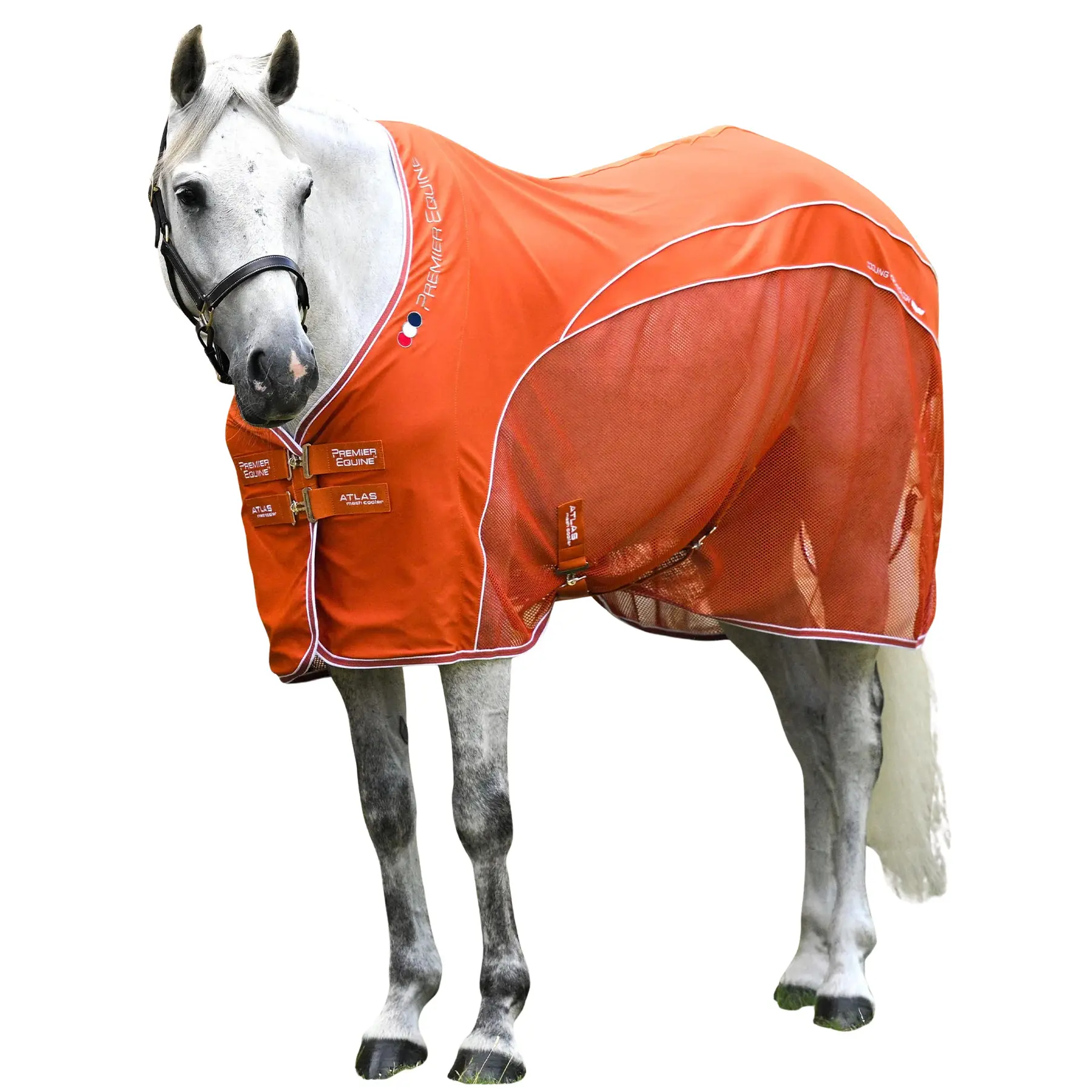 sportisgood833158