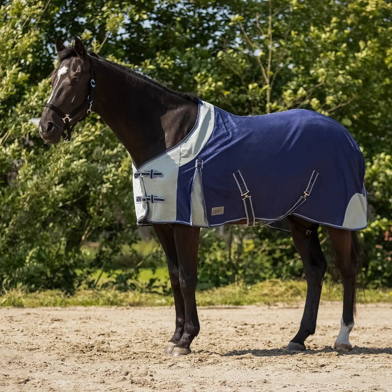 sportisgood849890