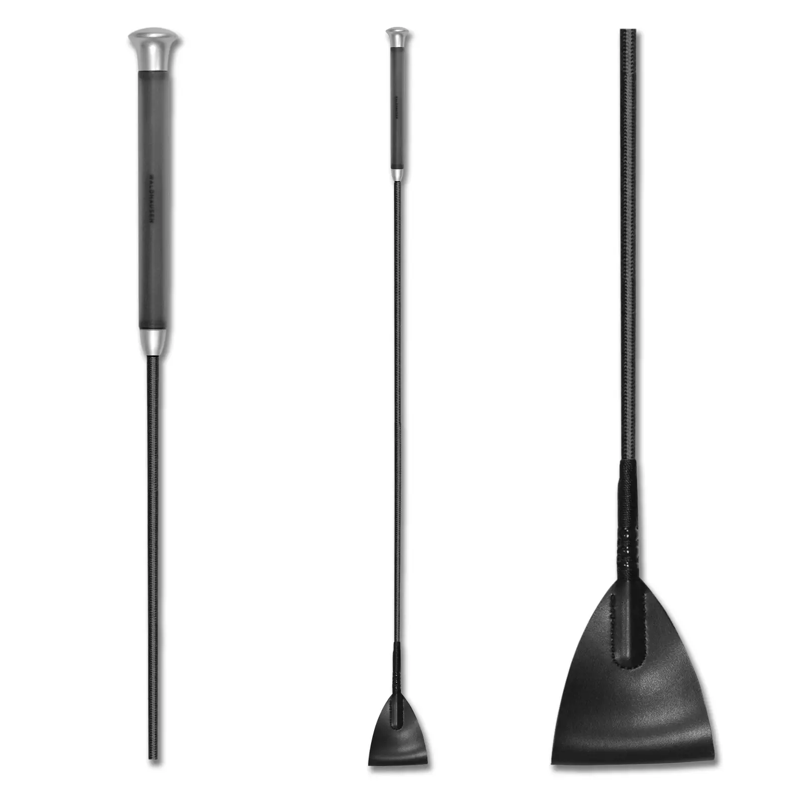 sportisgood916833