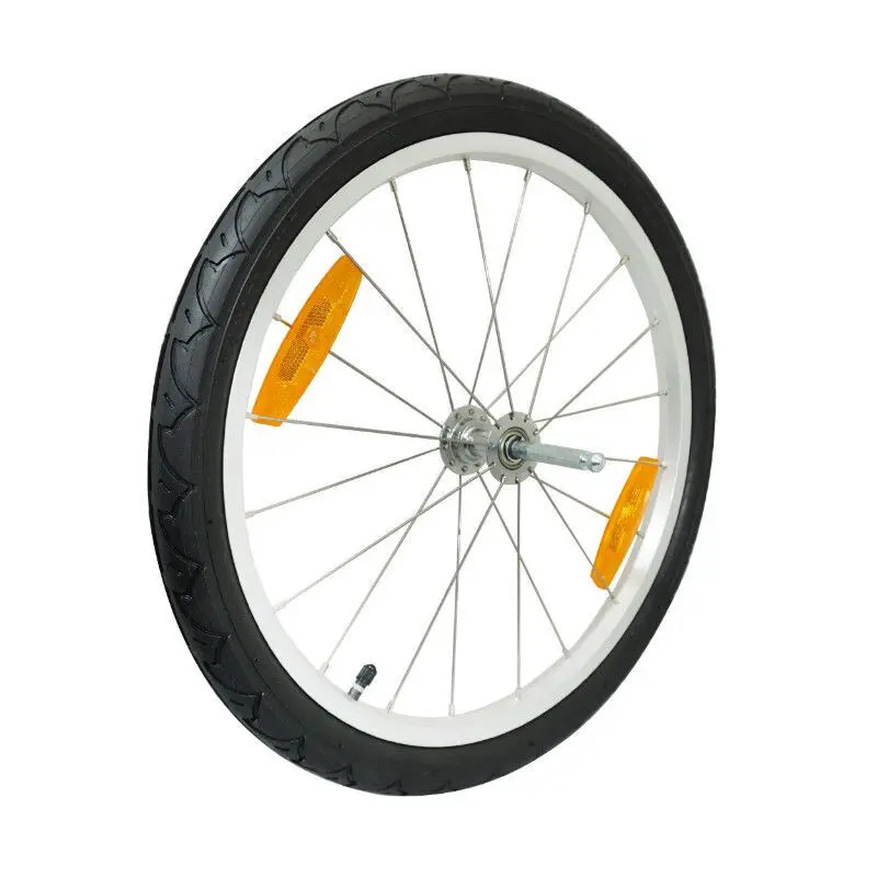 sportisgood941504