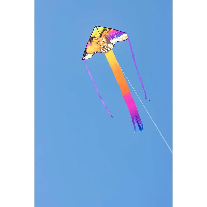 surfdeal429862